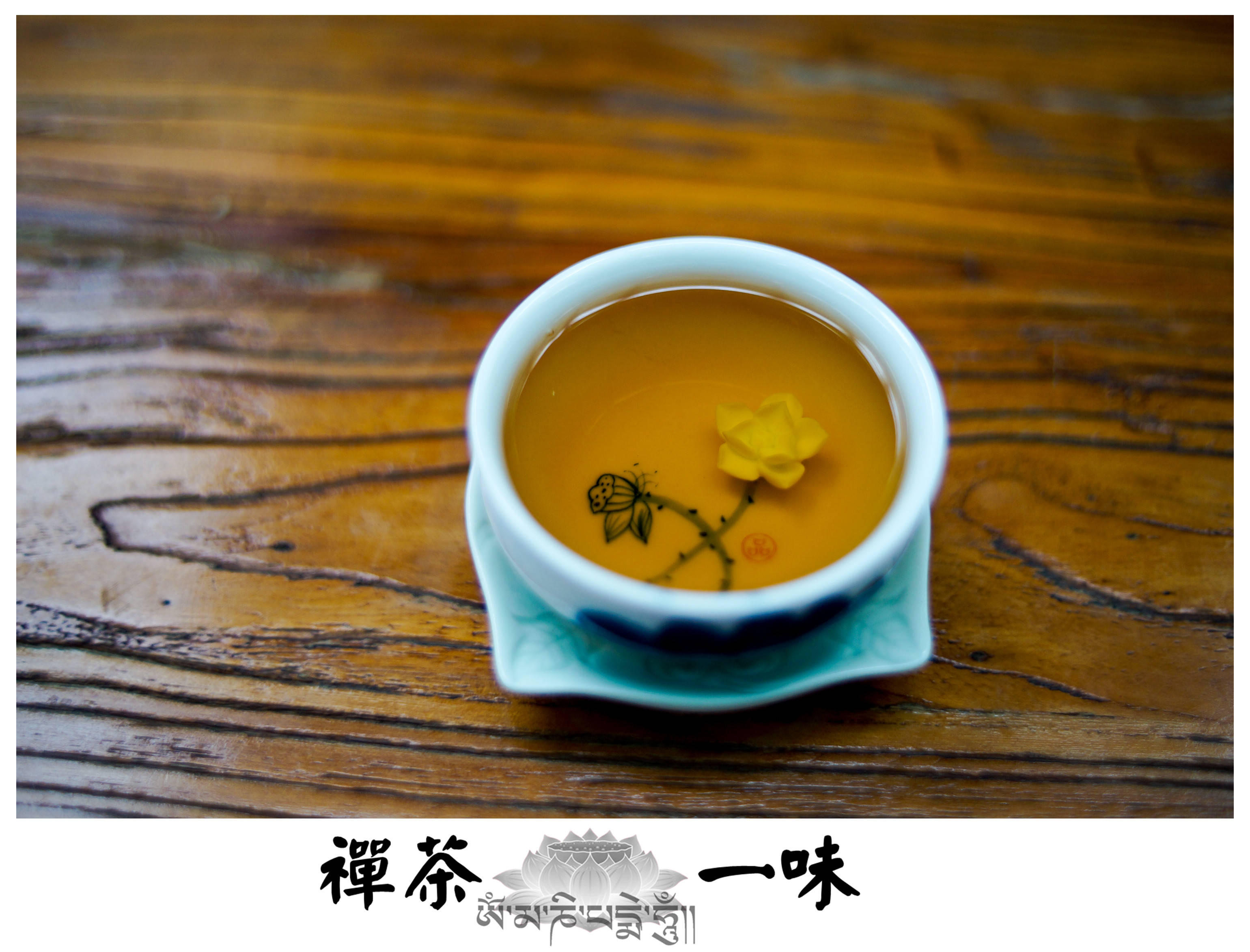 茶禅是中国化的佛教，主张坐禅修行的方法