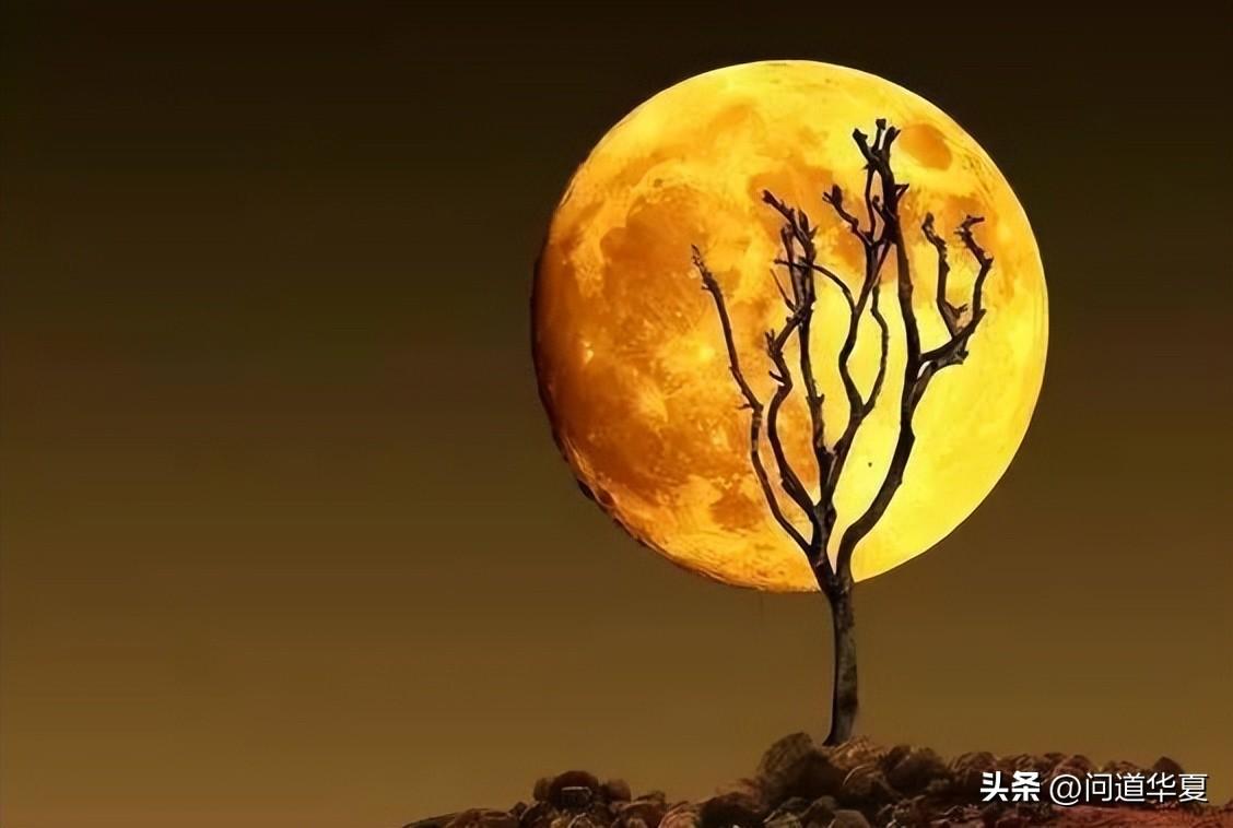 台湾文化人类学者杜而未：老子的月亮求实效