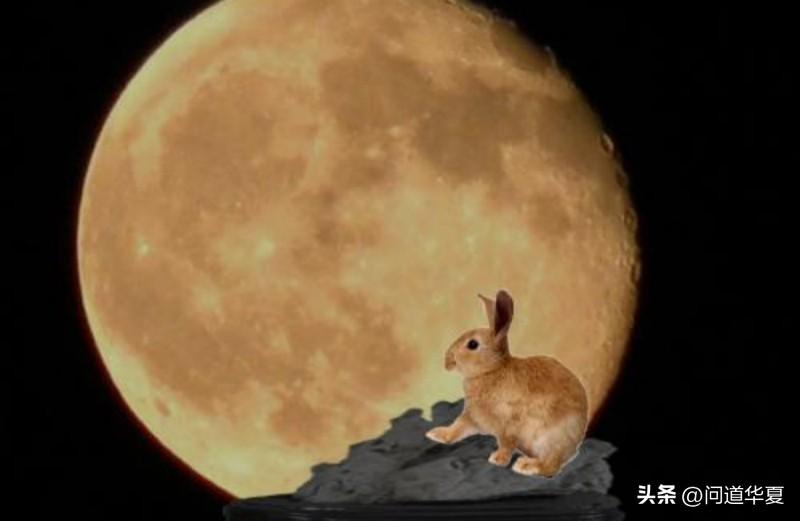 台湾文化人类学者杜而未：老子的月亮求实效