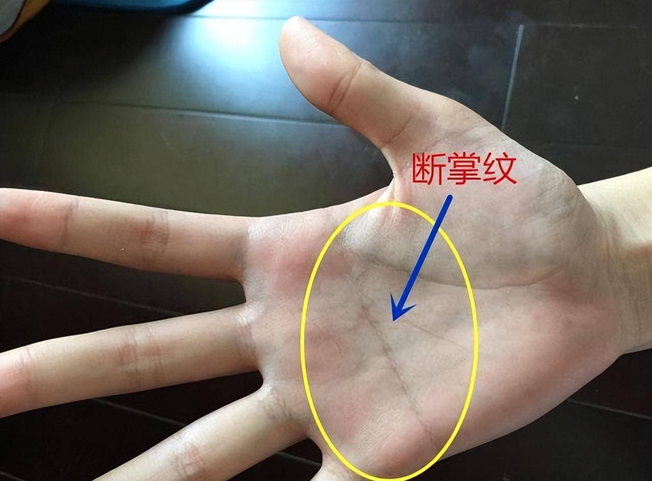 手相断掌女人 一条线，富贵不相欠，这是流传在中国民间的一句俗语