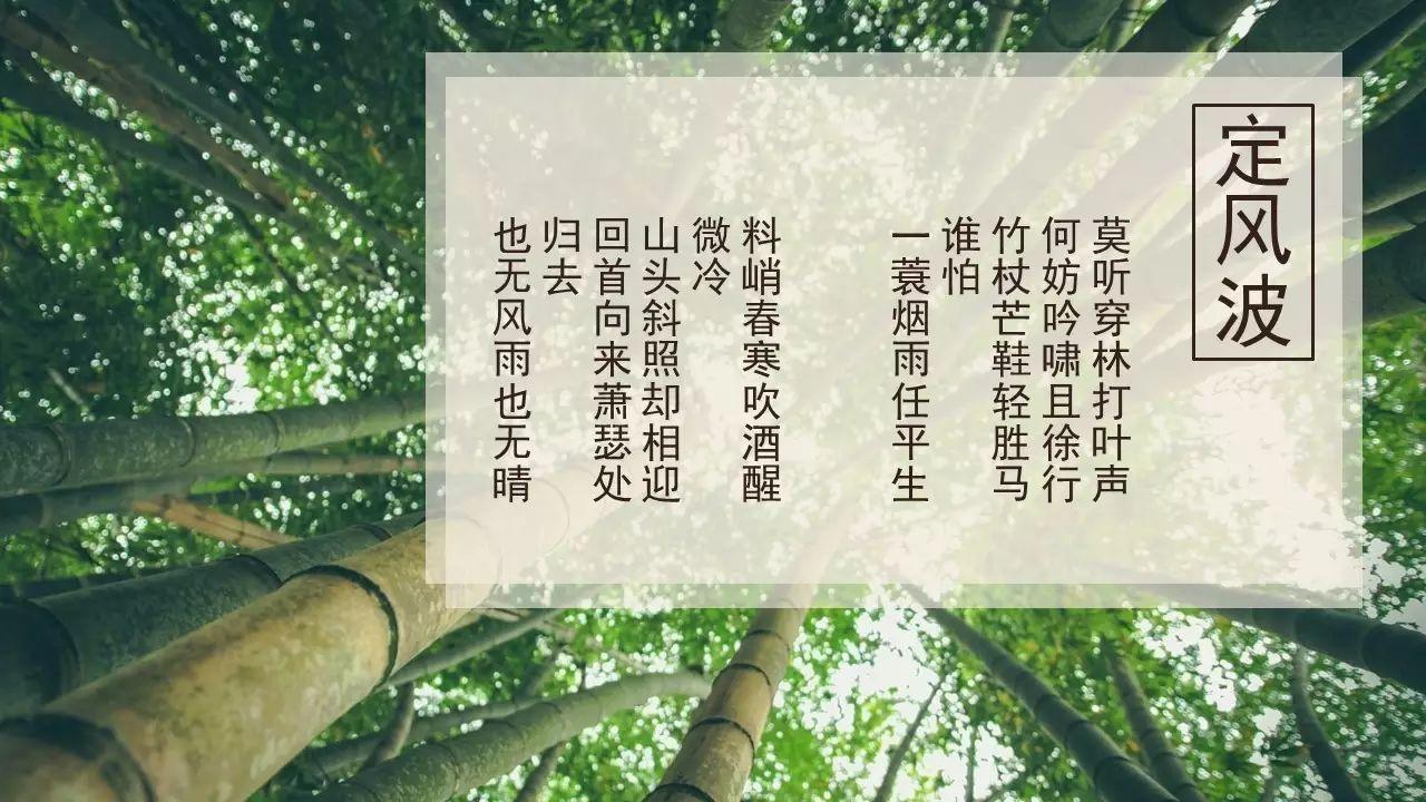 苏轼一生毫无悲哀，是中国士大夫的精神家园！