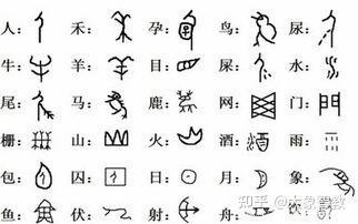 中国书法的传承与发展在中国几千年的历史中